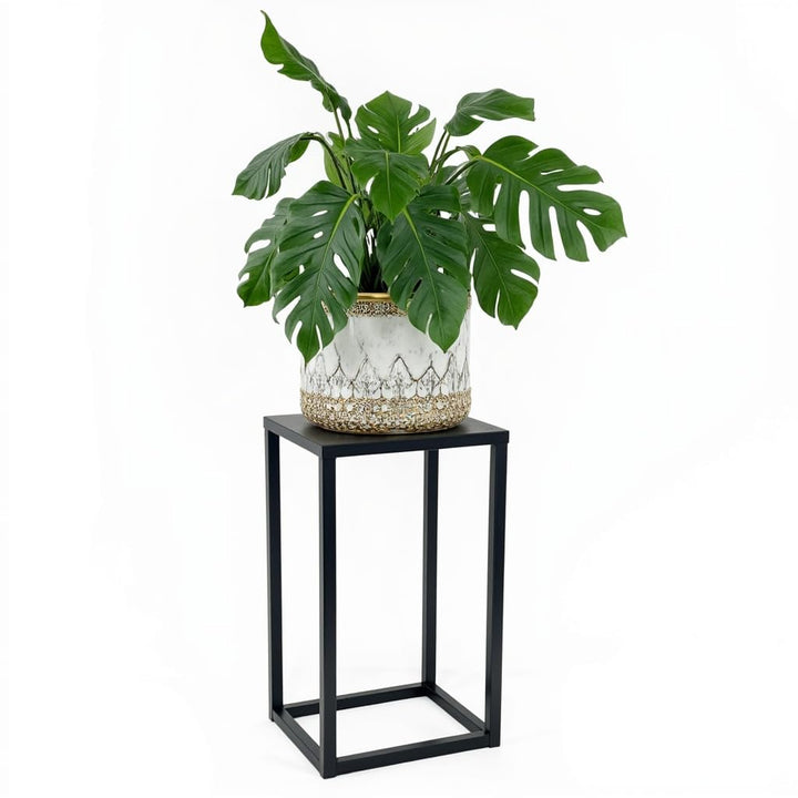 Pflanzenständer Ferro - 24x24x40cm - Farbe Schwarz - für Zimmerblumen - Metallregal - Dekorativer Ti