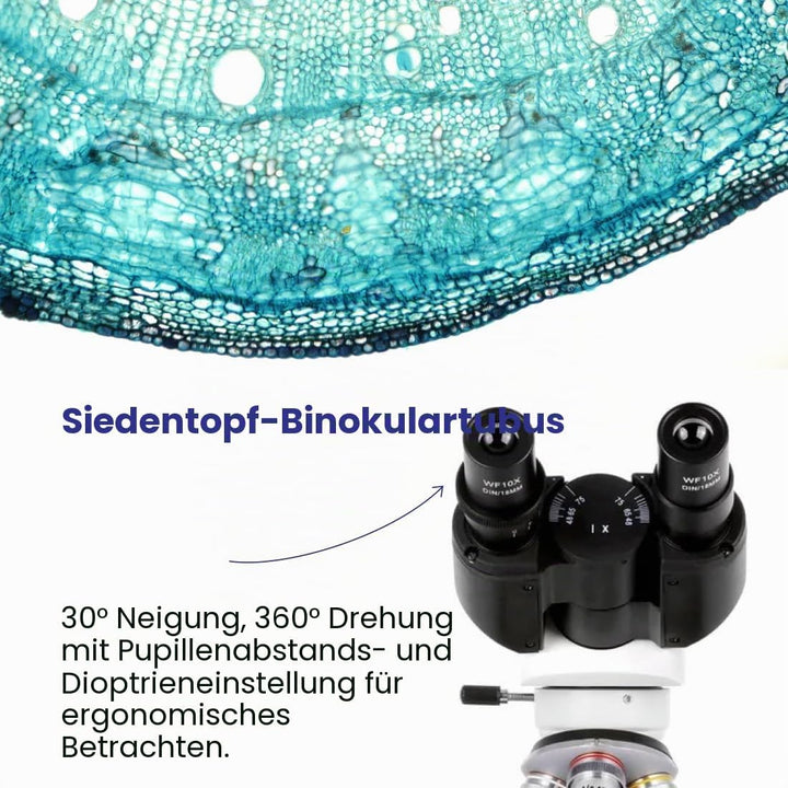 AmScope B120C-E5 40X-2500X LED Digitales Binokular-Verbundmikroskop mit 3D-Bühne und 5MP USB-Kamera