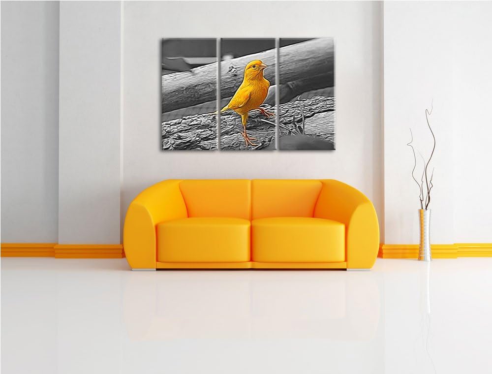 kleiner wachsamer Kanarienvogel schwarz/weiss Deluxe 3-Teiler Leinwandbild 120x80 Bild auf Leinwand,