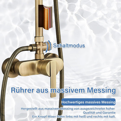 Rozin Antik Messing Duschsystem mit 8 Zoll Regendusche Duschkopf und Handbrause Einzelgriff Fertig a