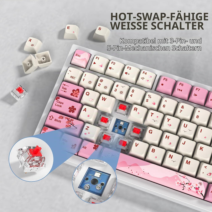 SOLIDEE Verkabelte 75% Mechanische Gaming-Tastatur,hot-swap-fähige Mechanische Tastatur mit Gasket S