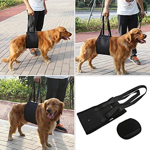 Portable Dog Lifting Support Harness - Hund Hilfe mit schwachen Vorder- oder Hinterbeinen Steh auf,