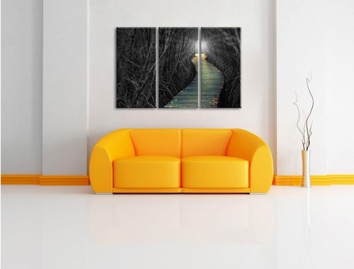 Pixxprint Gehweg im Wald als Leinwandbild/Grösse: 3 Teilig (120x80) cm/Wandbild/Kunstdruck/fertig be