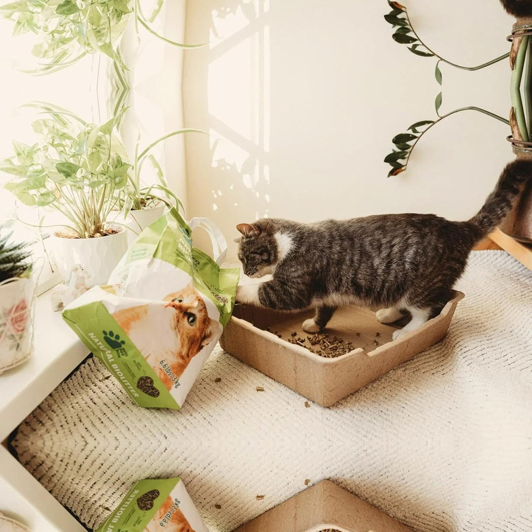 22L Bio Katzenstreu Pellets – natürliches & kompostierbares Katzenstreu aus Heu, ökologisches Einstr