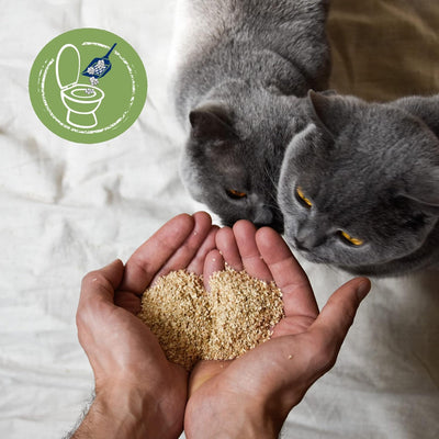 Biokat's Natural Care - Feine klumpende Katzenstreu aus nachwachsenden und kompostierfähigen Pflanze