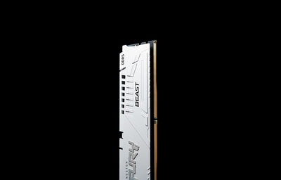 Kingston FURY Beast Weiss EXPO 32GB 6000MT/s DDR5 CL36 DIMM Desktop Gaming Speicher Einzelnes Modul