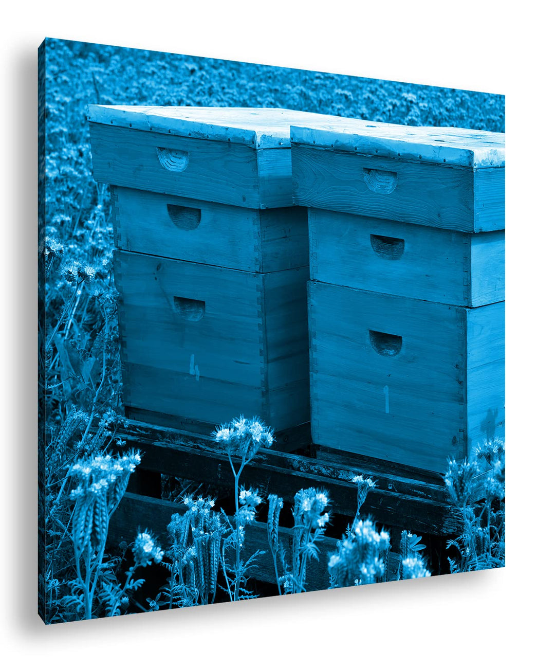 deyoli Bienenstock auf der Blumenwiese Format: 40x40 Effekt: Monocrome Blau als Leinwand, Motiv fert