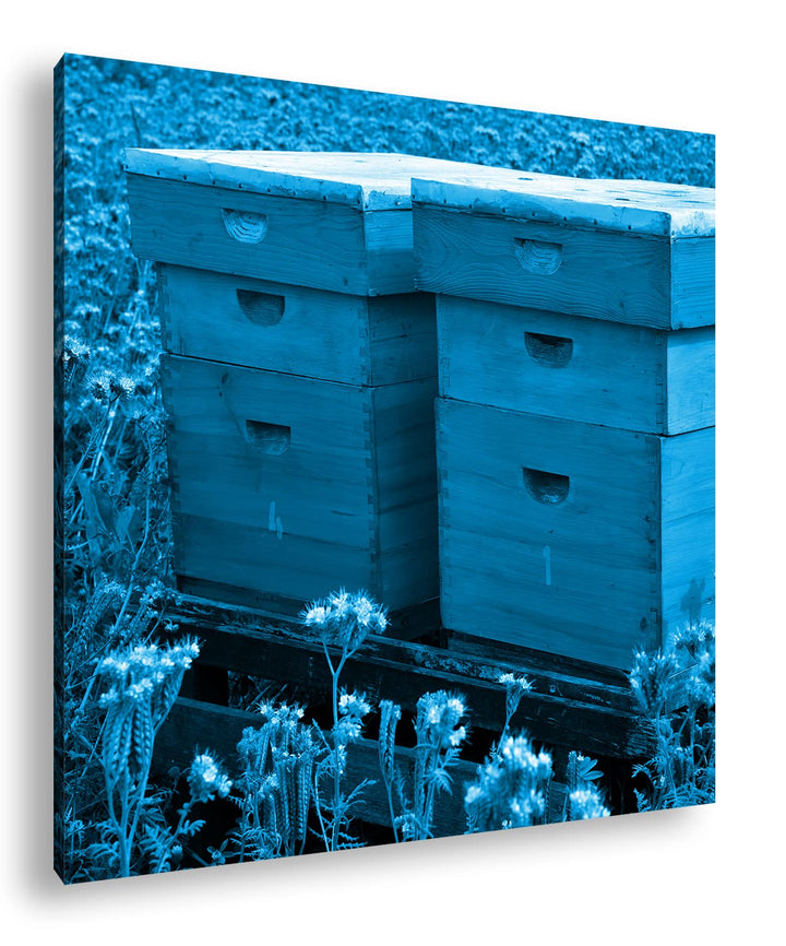 deyoli Bienenstock auf der Blumenwiese Format: 40x40 Effekt: Monocrome Blau als Leinwand, Motiv fert