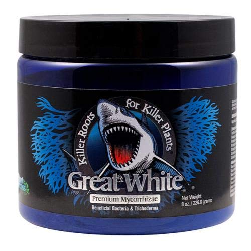 Pflanze Erfolg Great White Mykorrhiza 8 Unze 8oz Premium Additiv Hydrokultur
