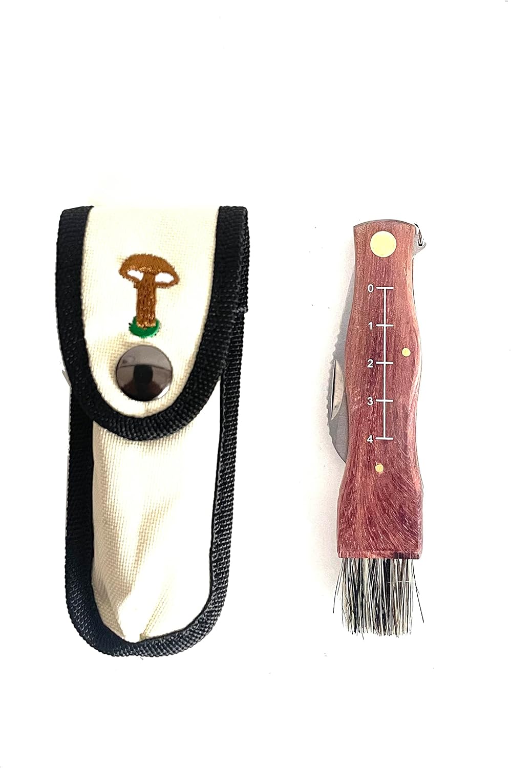 ADCSHOP - Pilzkorb und Pilzmesser Set zum Sammeln von Pilzen und Früchten - faltbar, strapazierfähig