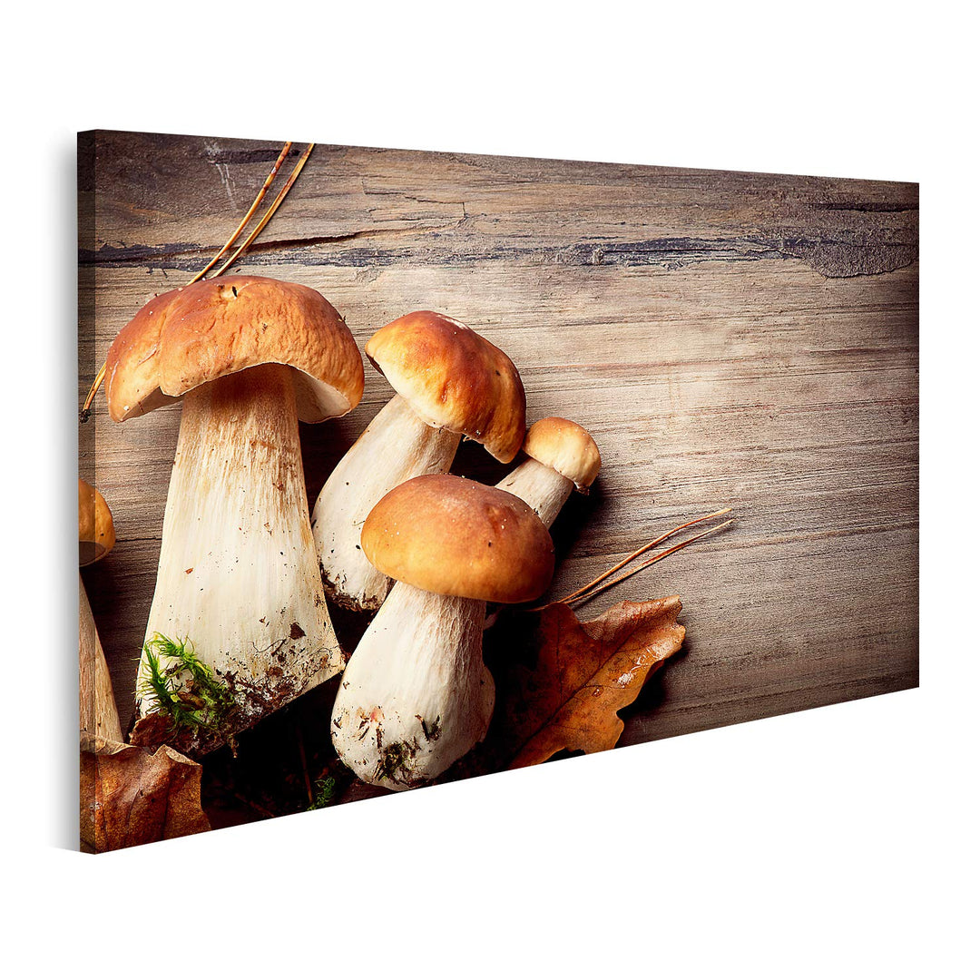 islandburner Bild auf Leinwand Pilz Boletus über hölzernen Hintergrund Herbst Steinpilze Bilder Wand