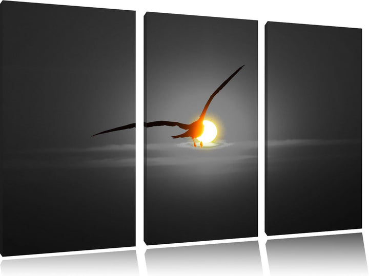 Pixxprint Möwe fliegt in den Sonnenuntergang als Leinwandbild/Grösse: 3 Teilig (120x80) cm/Wandbild/