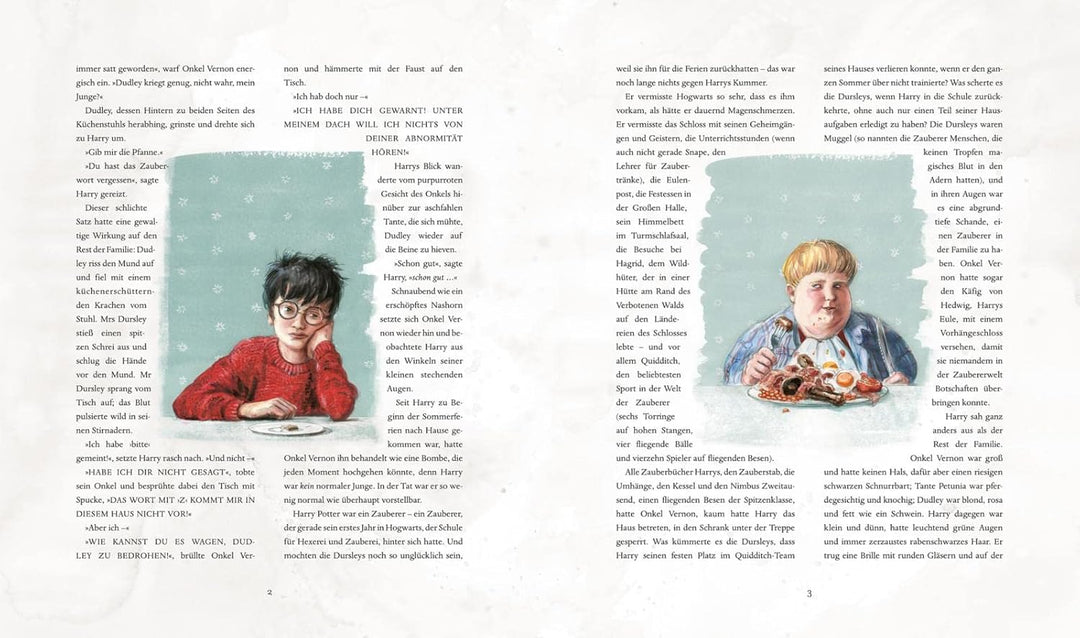 Harry Potter und die Kammer des Schreckens (Schmuckausgabe Harry Potter 2): Vierfarbig illustrierte