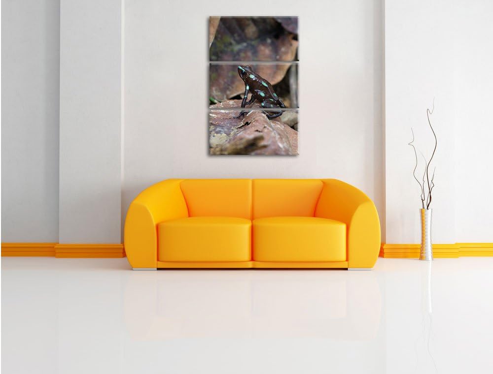 Pixxprint Baumsteiger Frosch als Leinwandbild/Grösse: 3 Teilig (120x80) cm/Wandbild/Kunstdruck/ferti