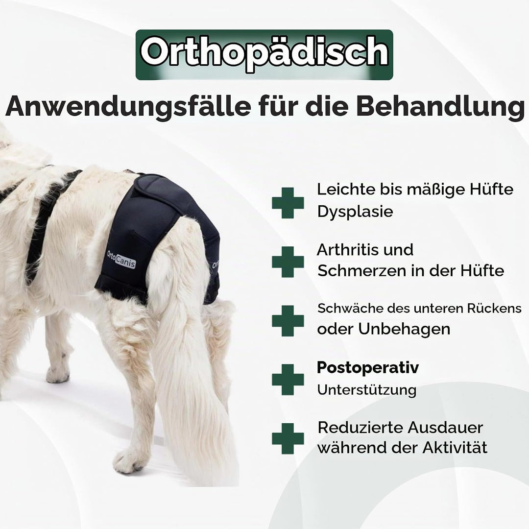 Ortocanis - Hüftorthese für Hunde - Hüftdysplasie, Hüftschmerzen oder Lokalisierten Arthrose - Stabi