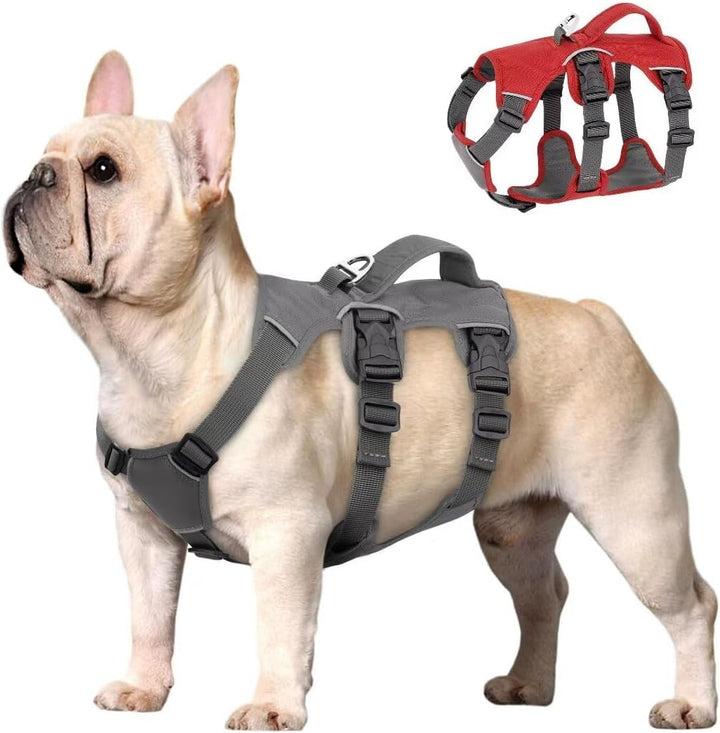 Beirui Ausbruchsicheres Hundegeschirr für kleine, mittelgrosse Hunde, reflektierendes Hundegeschirr,