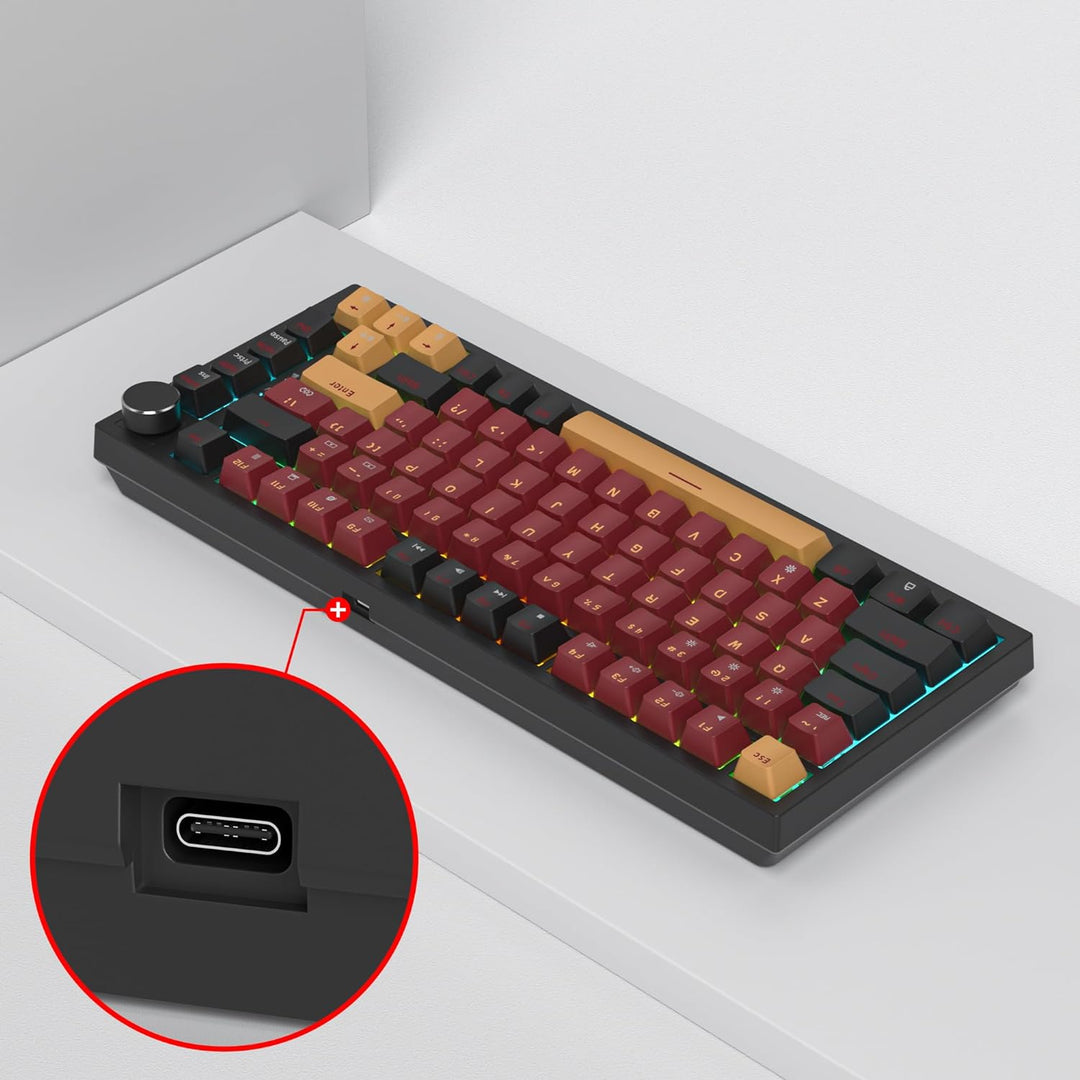 SOLIDEE 75% mechanische Gaming-Tastatur,hot-swap-fähige Tastatur mit rote Schalter,RGB-Hintergrundbe