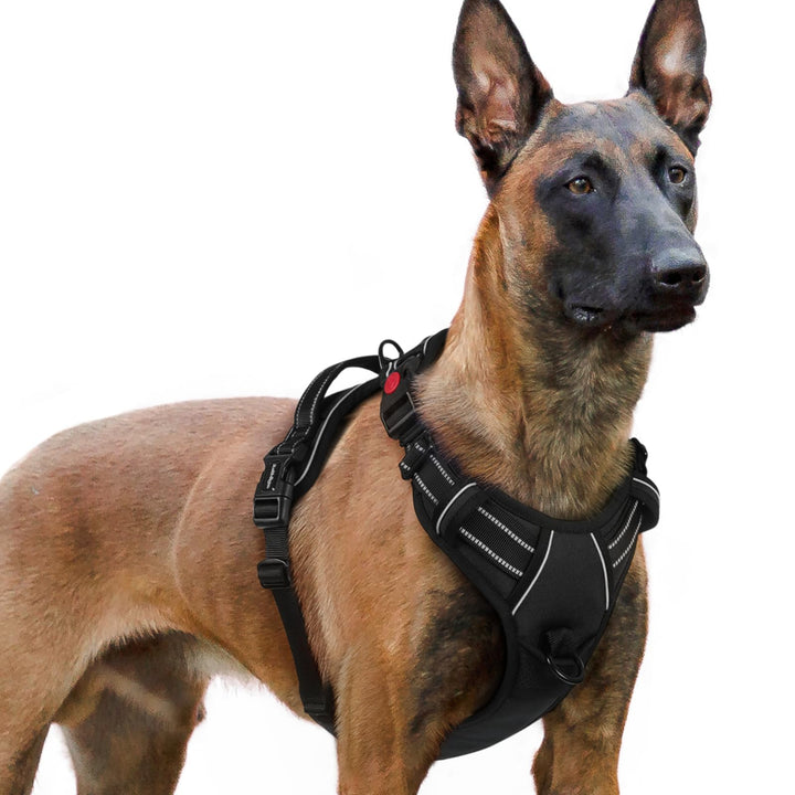 rabbitgoo Hundegeschirr Grosse Hunde, Verstellbare Geschirr Hund ohne Zug &amp; Würgen, Anti Zug Hundege