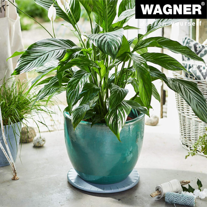 WAGNER Pflanzenroller ULTRAFLAT Ø 30 x 2,5 cm I Pflanzenroller für den Innenbereich, silbergrau I Ex