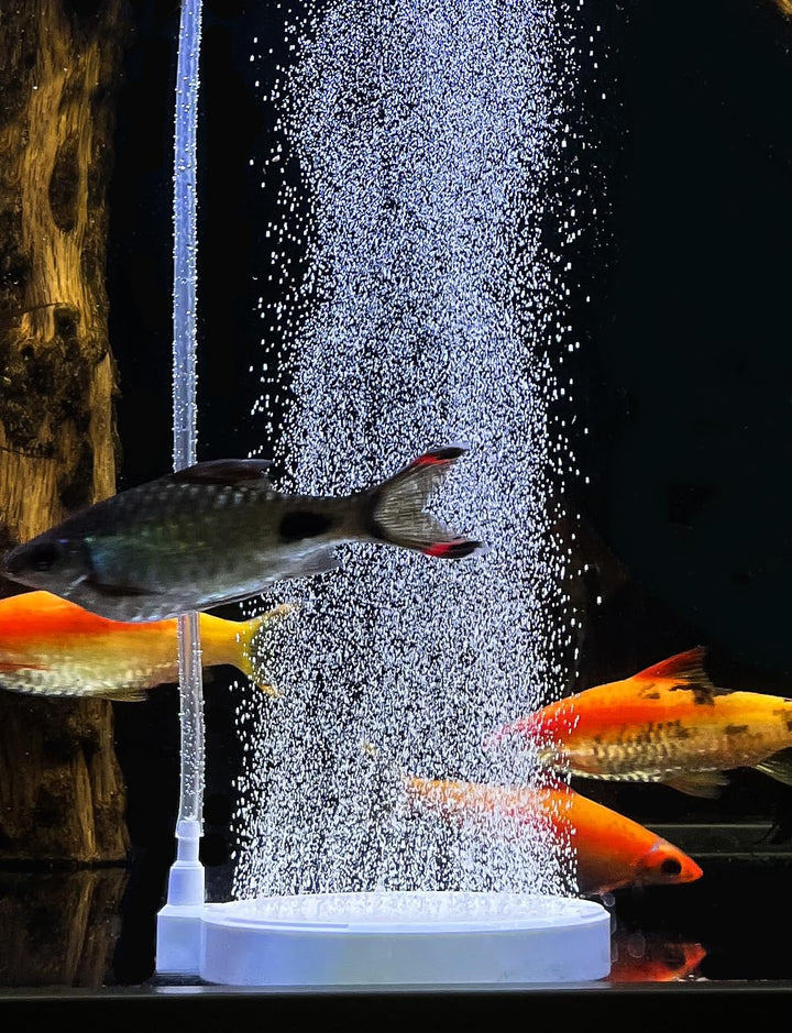 boxtech Aquarium Luftstein,Sauerstoff Stein Nano Bubble Air Stone (130 MM), 130 MM