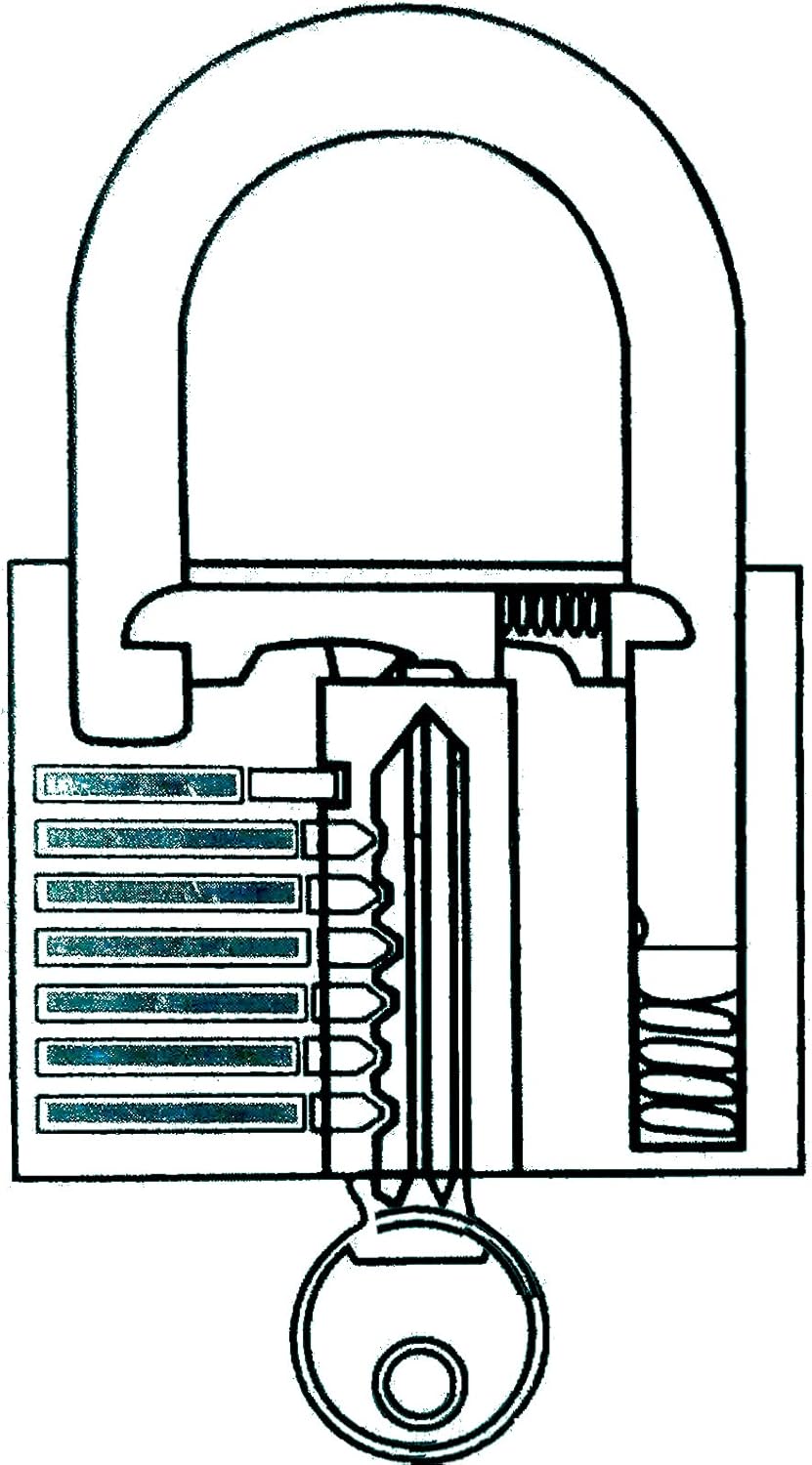 Work-it 3 x Vorängeschloss Set Sicherheitsschloss 30mm Mit je 6 Gleichschiliessenden Schlüsseln Pro
