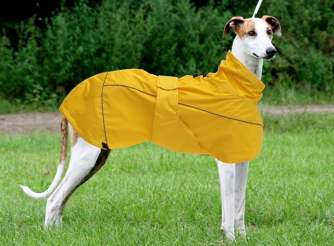 MOREZI Windhund-Regenmantel, regenfest/wasserdicht, hoher Bund mit verstellbarem Kordelzug und Hüftg