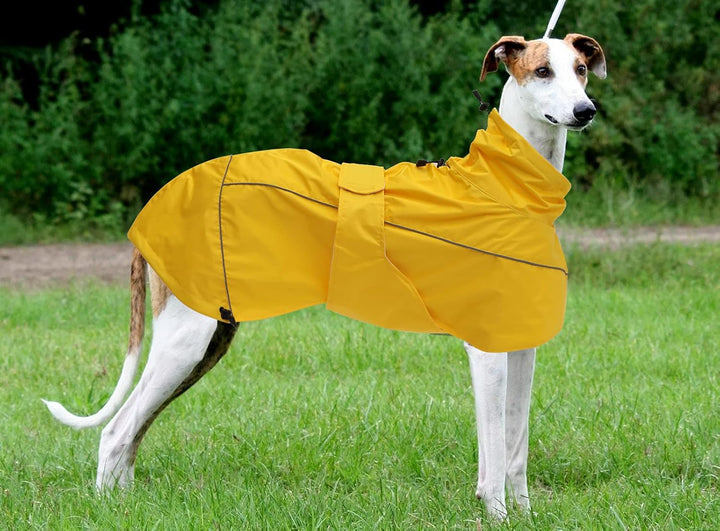 MOREZI Windhund-Regenmantel, regenfest/wasserdicht, hoher Bund mit verstellbarem Kordelzug und Hüftg