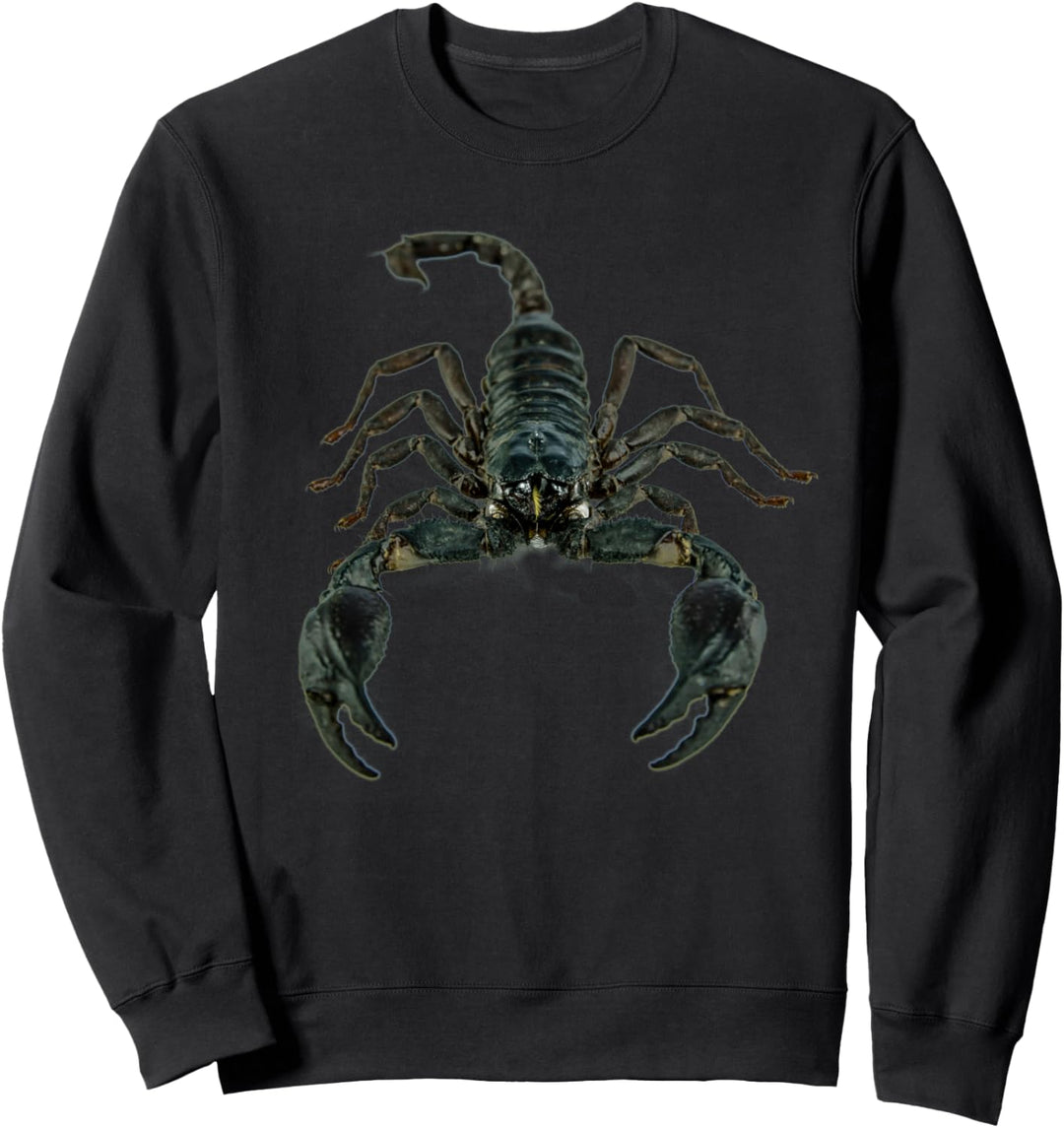 Scorpion Tarantula Terraristik Amphibie Terrarium Skorpion Sweatshirt