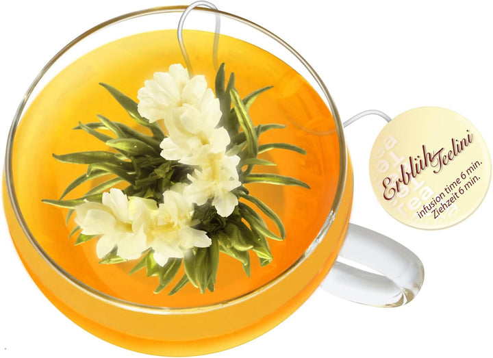 Creano ErblühTeelini Teeblumen Geschenkset mit Teeglas und 8 Teeblumen im Tassenformat, Weisser Tee,