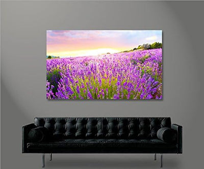 islandburner Bild Bilder auf Leinwand Lavendelfeld 1p XXL Poster Leinwandbild Wandbild art up your l