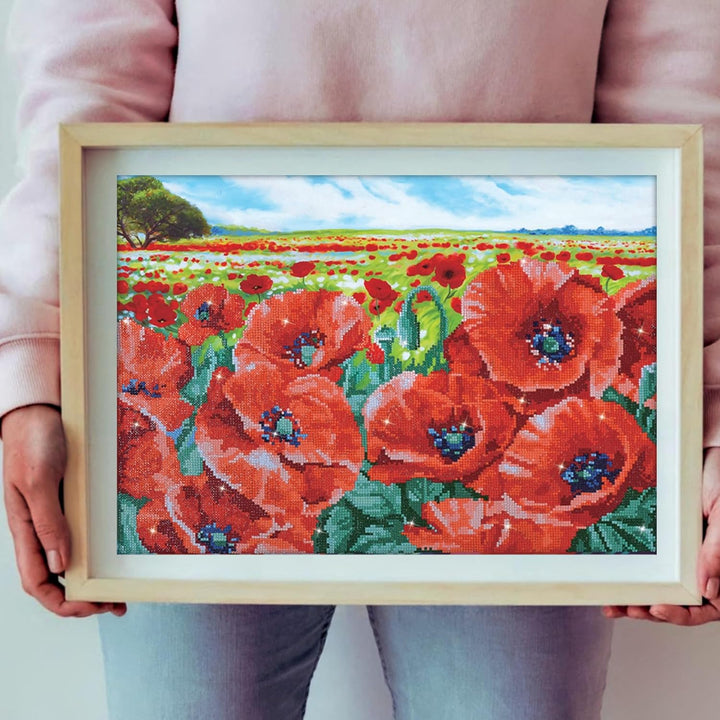 Diamond Dotz DD10-013 Mohnfeld, ca. 60 x 42 cm gross, Diamond Painting, Malen mit Diamanten, funkeln