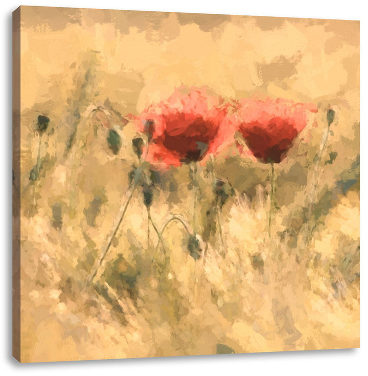 Pixxprint Mohnblumen auf einem Feld als Leinwandbild Quadratisch/Grösse: 70x70 / Wandbild/Kunstdruck
