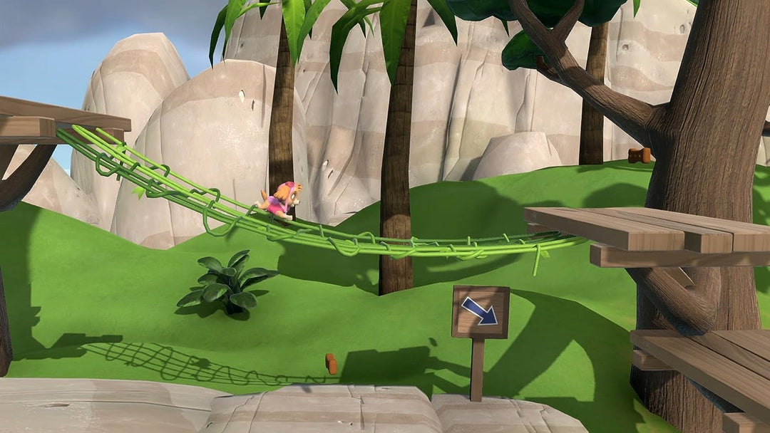 Paw Patrol, PS4