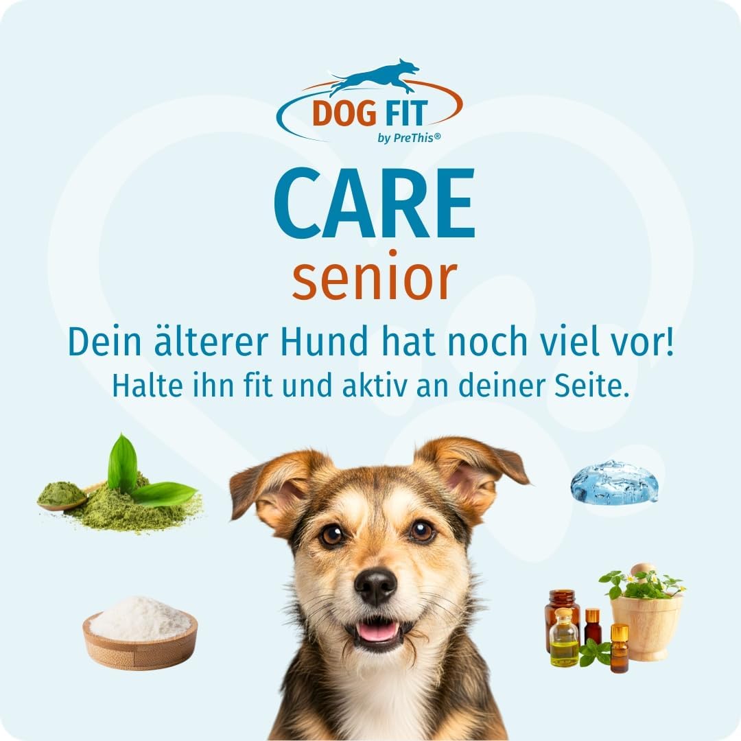 DOG FIT by PreThis® Care Senior I Aufbaupräparat für alte Hunde Plus Gelenkschutz &amp; Vitamine &amp; Miner