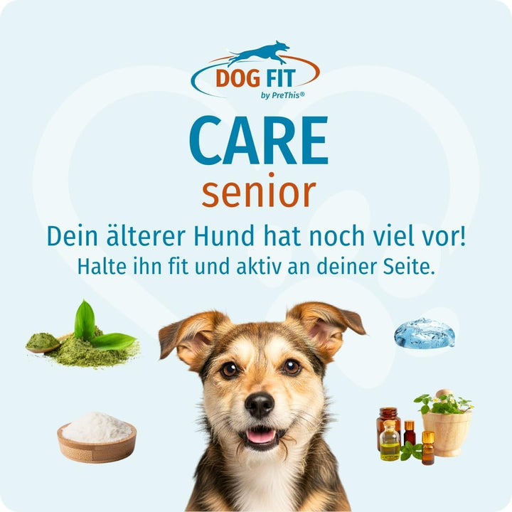 DOG FIT by PreThis® Care Senior I Aufbaupräparat für alte Hunde Plus Gelenkschutz &amp; Vitamine &amp; Miner