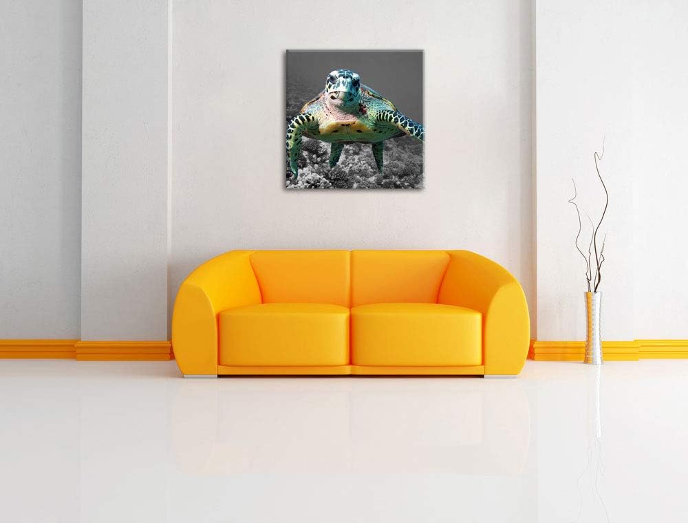 Pixxprint Schildkröte Korallenriff als Leinwandbild/Grösse: 70x70 cm/Wandbild/Kunstdruck/fertig besp