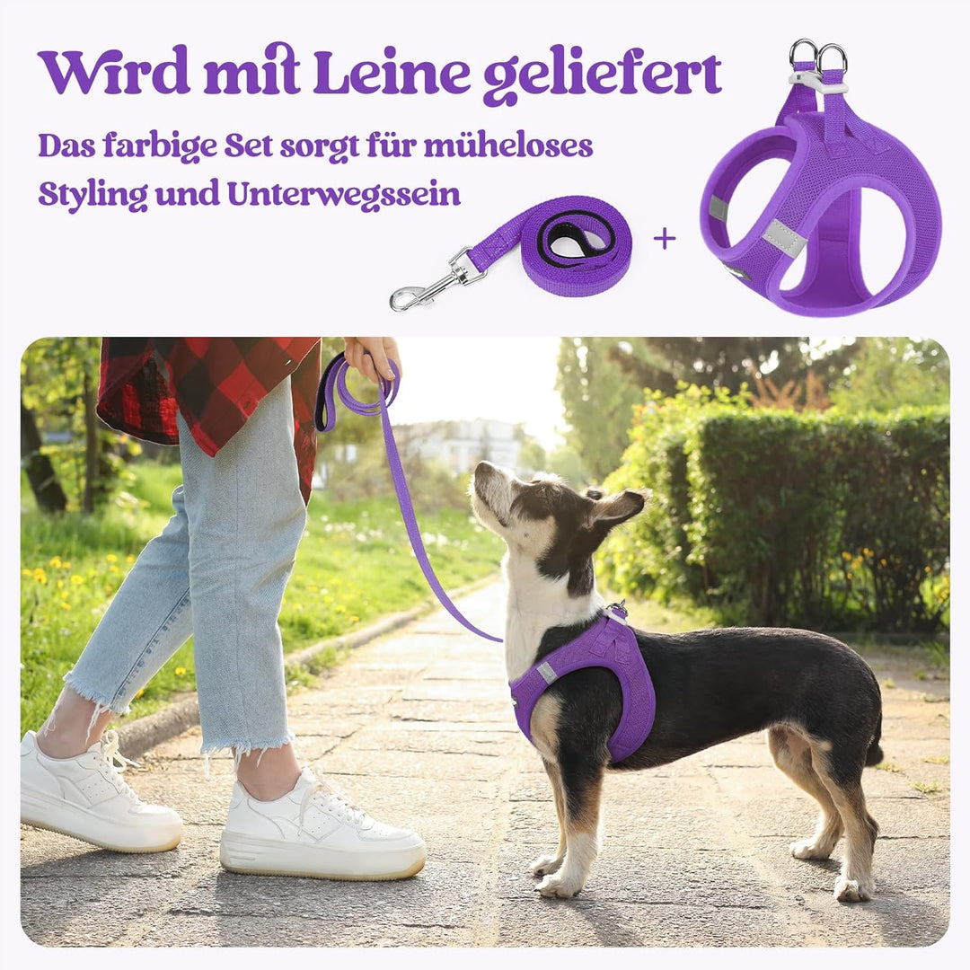 rabbitgoo Hundegeschirr Kleine Hunde mit Leine, Step-in Welpengeschirr Weich Mesh für Spaziergänge,