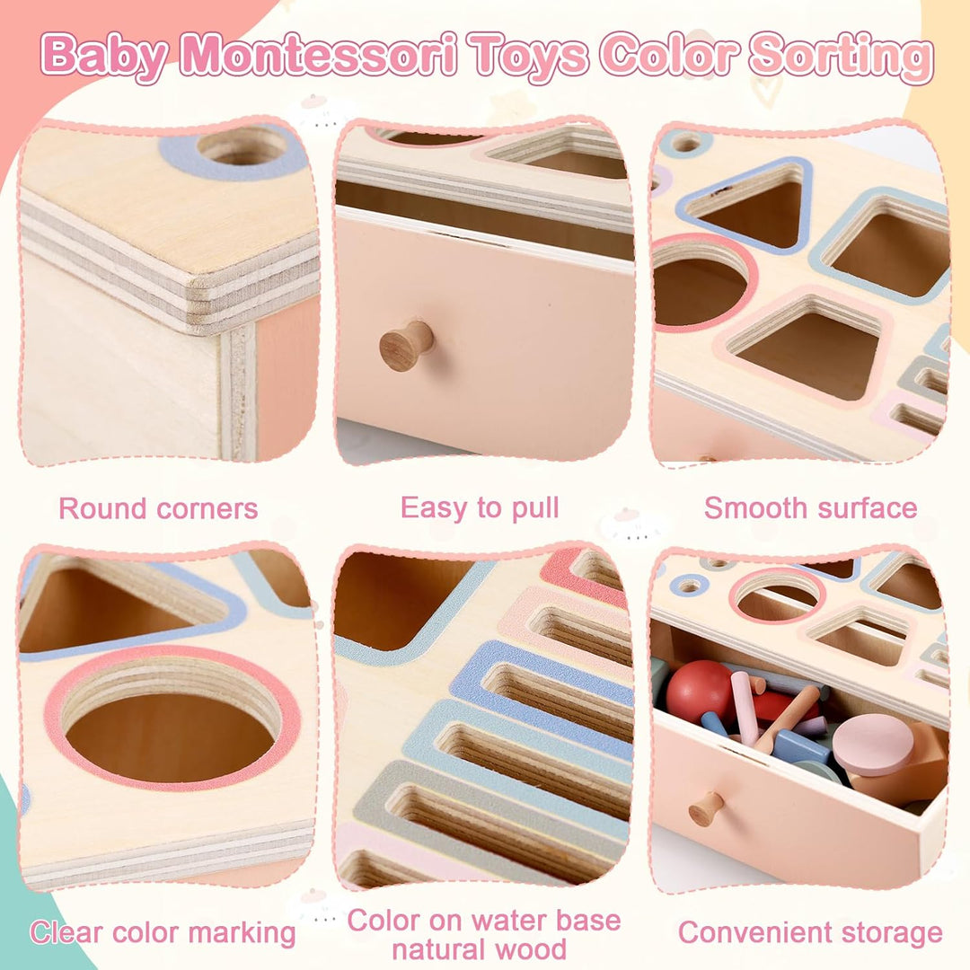 Montessori Spielzeug, 3-in-1 Holz Münzbox & Ballbox Kinder Jungen Mädchen, Objektpermanenz Box, Farb