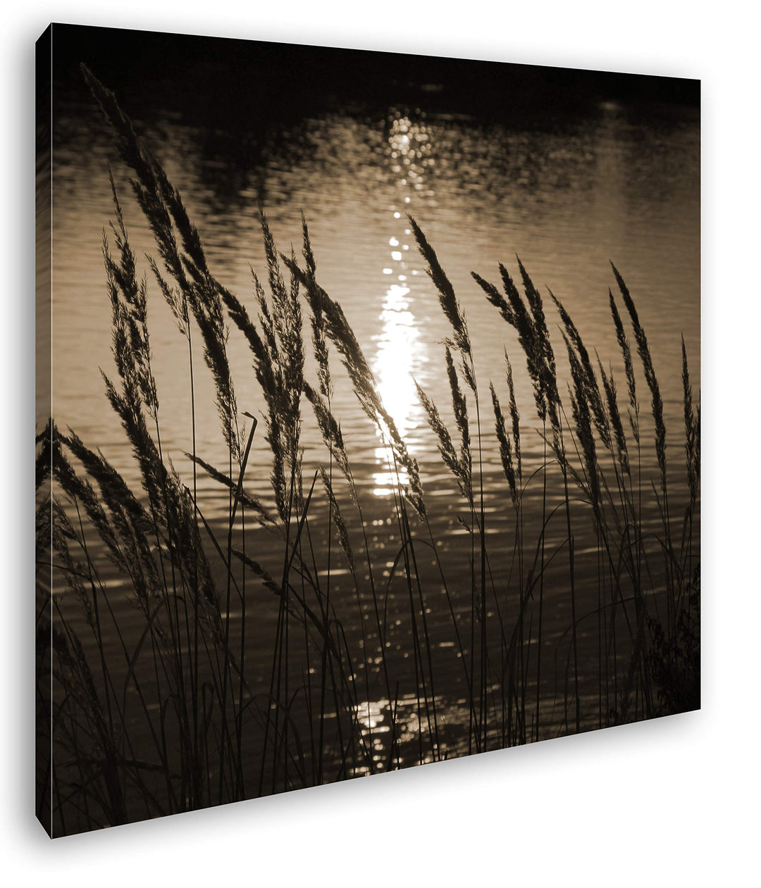 deyoli Gräser am Ufer eines Sees Format: 70x70 Effekt: Sepia als Leinwandbild, Motiv fertig gerahmt