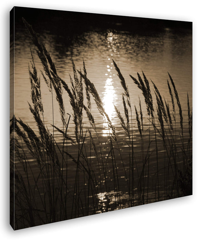 deyoli Gräser am Ufer eines Sees Format: 70x70 Effekt: Sepia als Leinwandbild, Motiv fertig gerahmt