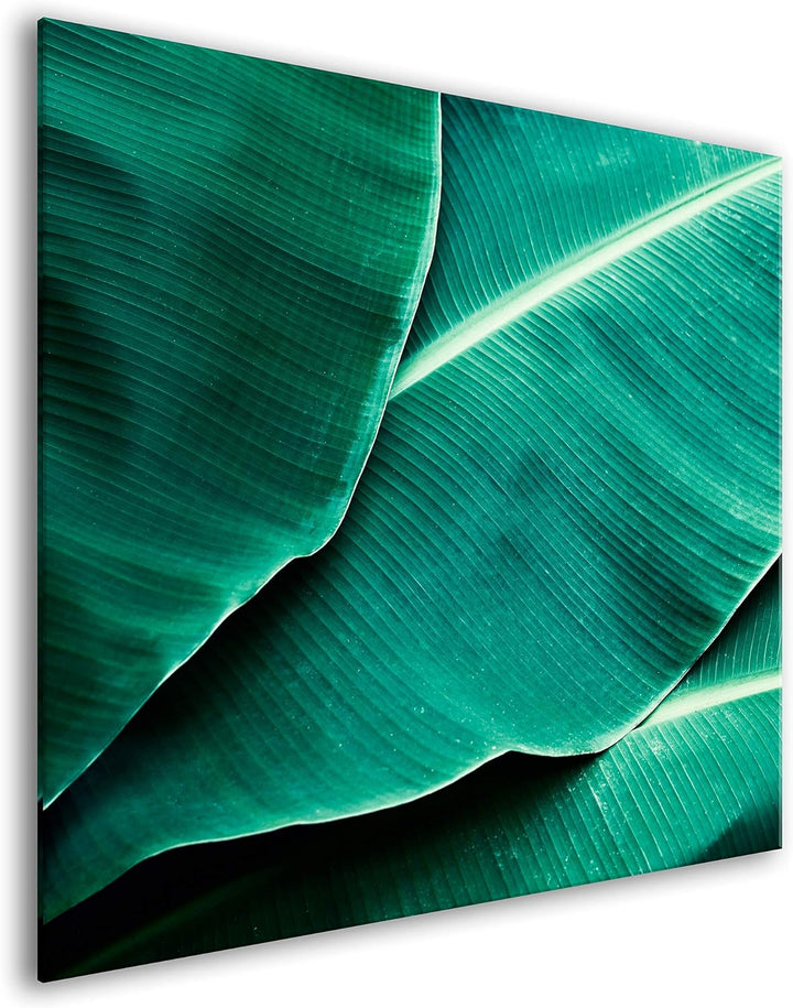 murando Spritzschutz Glas für Küche 60x60 cm Küchenrückwand Küchenspritzschutz Fliesenschutz Glasbil