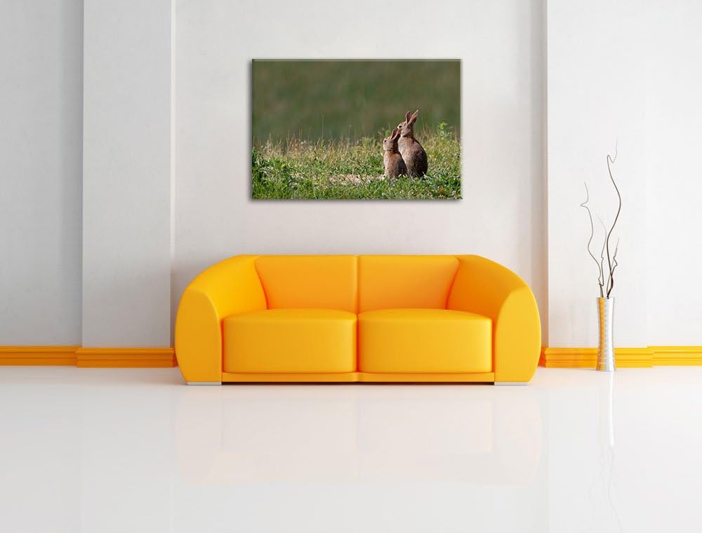 zwei Häschen auf Frühlingswiese Leinwand, XXL riesige Bilder fertig gerahmt mit Keilrahmen, Kunstdru