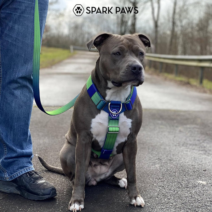 Spark Paws No Pull Hundegeschirr mit Griff für grosse Hunde, strapazierfähiges Hundegeschirr für gro