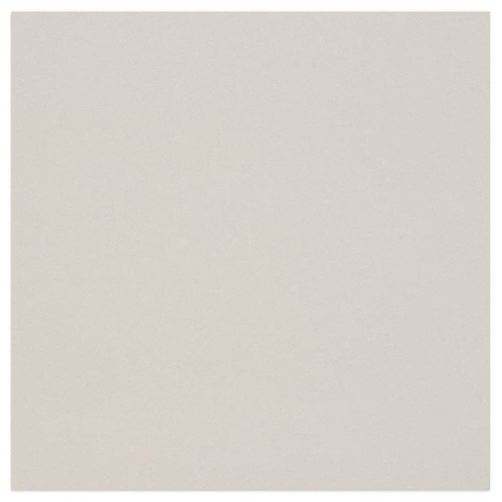 Clairefontaine 93981C Packung (mit 10 Bögen Pappe, 60 x 80 cm, 2,5 mm, 1625 g, ideal für Modellbau,