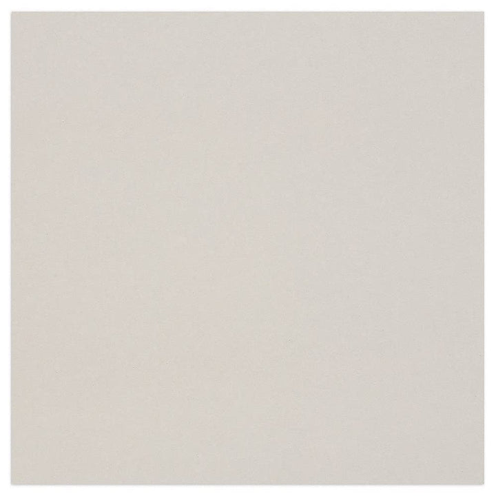 Clairefontaine 93981C Packung (mit 10 Bögen Pappe, 60 x 80 cm, 2,5 mm, 1625 g, ideal für Modellbau,