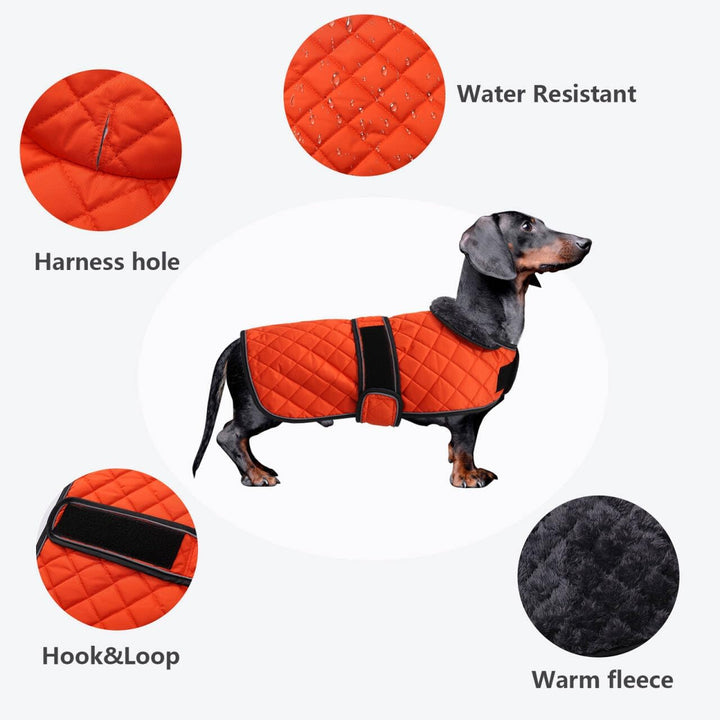 MOREZI Hundemantel Winter für Dackel - Wasserdichter Hunde Pullover mit Wolle Futter & Verstellbaren