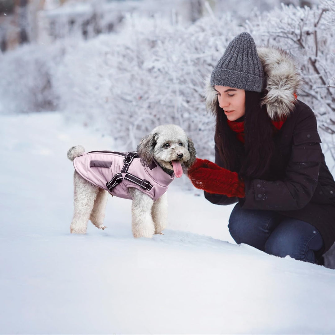 Hunde Winterjacken,Warme Hundemäntel Reflektierend Hundekleidung wasserdichte Welpenweste für kaltes