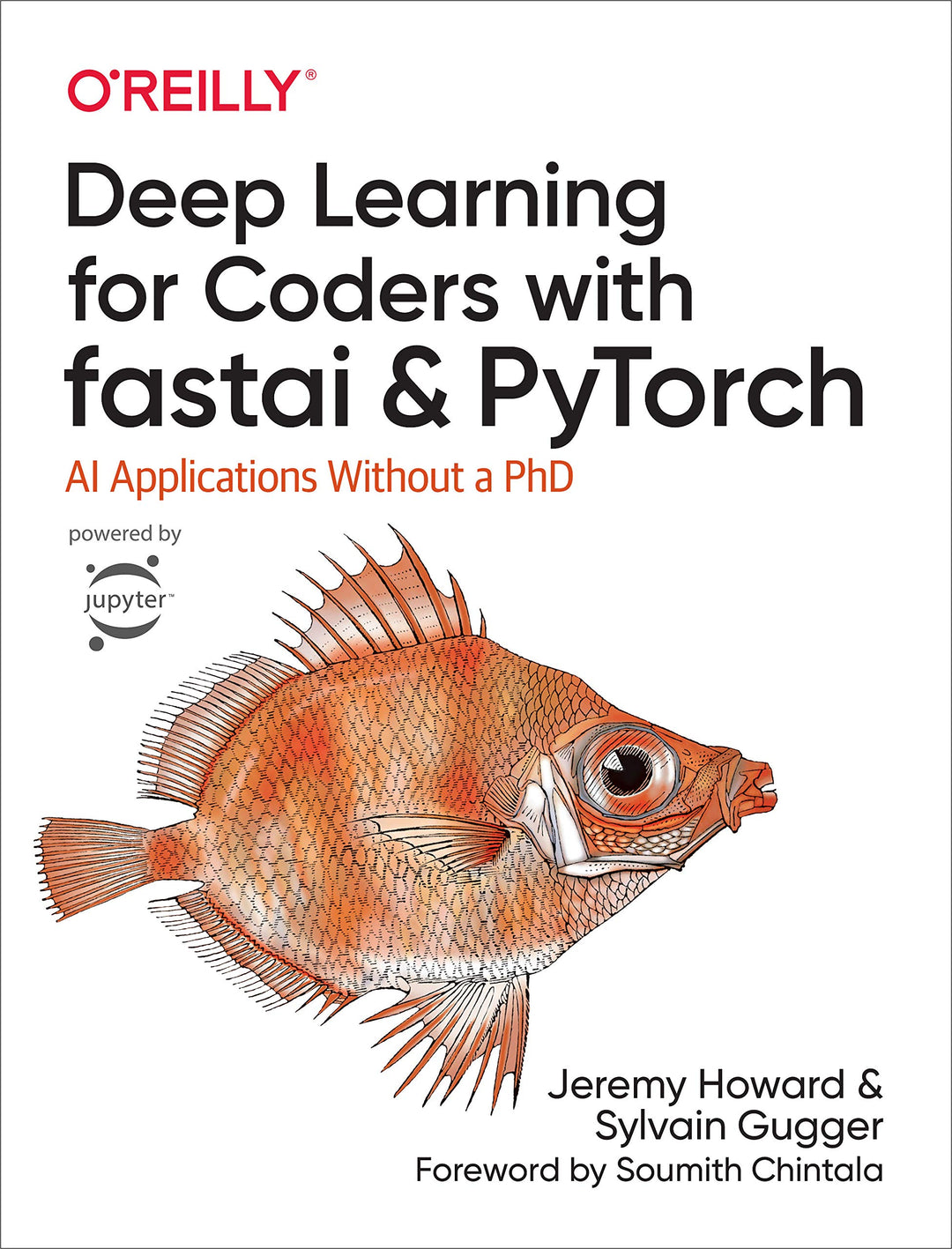 Deep Learning for Coders with Fastai and Pytorch: AI Applications Without a PhD, Taschenbuch
