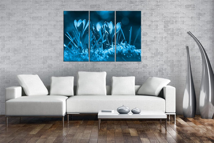 beeindruckende Krokusse im Frühling Effekt: Zeichnung Format: 3-teilig 120x80, Motiv fertig gerahmt