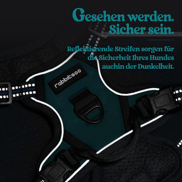 rabbitgoo Hundegeschirr Kleine Hunde, Anti Zug Geschirr mit Kontrolle, No Pull Verstellbar Hundegesc